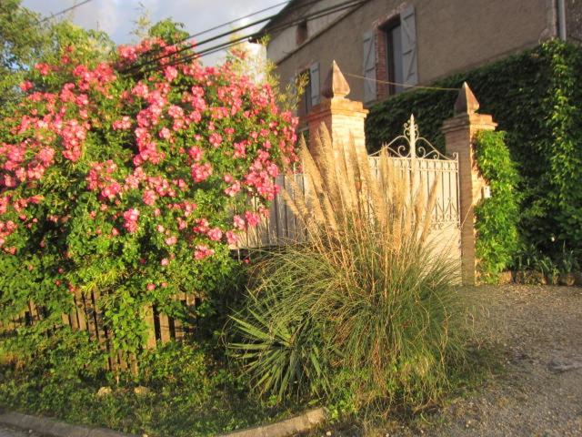 La Demeure De La Coste Bed & Breakfast Vieux  Bagian luar foto